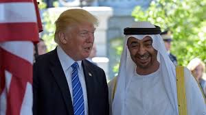 عرب امارات و امریکا
