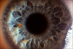 وضوح چشم انسان چند مگاپیکسل است؟