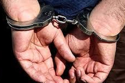 بازداشت یکی دیگر از متهمان اصلی تولید و ساخت مشروبات الکلی در البرز