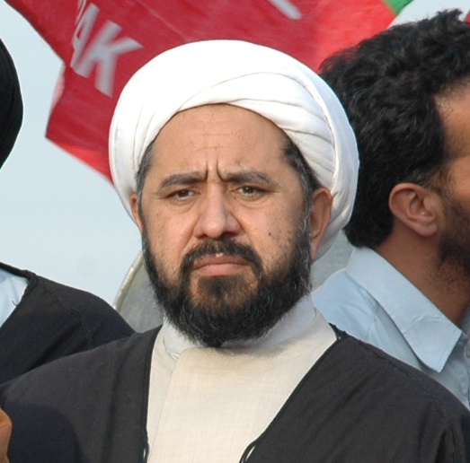 محمد امين شہيدي 