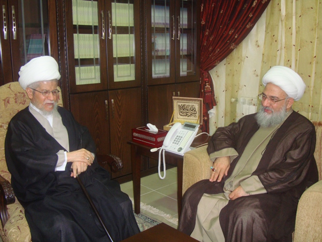 علامه شيخ عفيف نابلسي، آيت الله فاضل مالکي