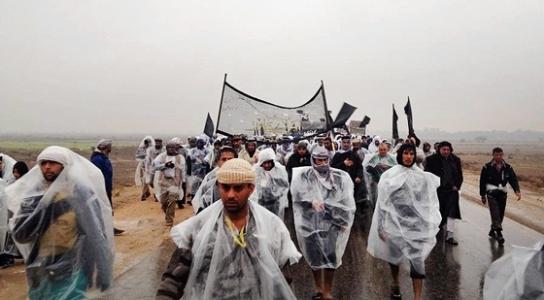 زايرين پياده رضوي