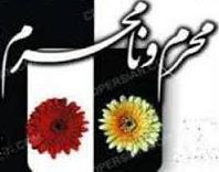 نگاهی به موضوع محرم و نامحرم