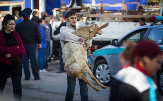 ممنوعيت قرباني کردن حيوانات در روز عيد قربان براي مسلمانان مسکو