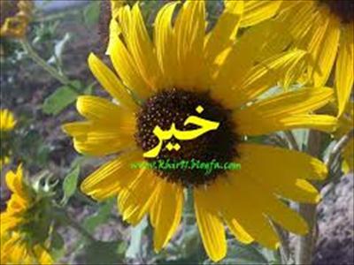 چه کسانی زیارت امام حسین را دوست دارند؟