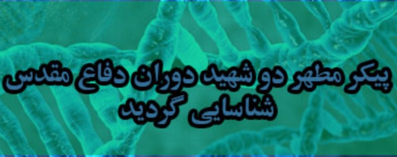 تفحص
