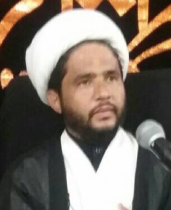 حجت الاسلام محمد موسی حسینی