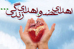 اهدای عضو بانوی طلبه قمی به هفت بیمار جان دوباره بخشید