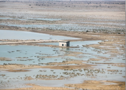 امداد فرهنگی کانون در مناطق سیل زده سیستان و بلوچستان حضور می‌یابد