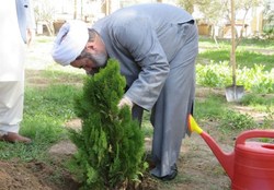 غرس نهال توسط نماینده ولی فقیه در سیستان و بلوچستان