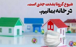 فرهنگ قرنطینه یا قرنطینه فرهنگ