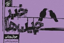 درباره کتابی که رهبر انقلاب به آن اشاره کردند