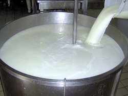 صنعت شیر بی‌یال و کوپال شد