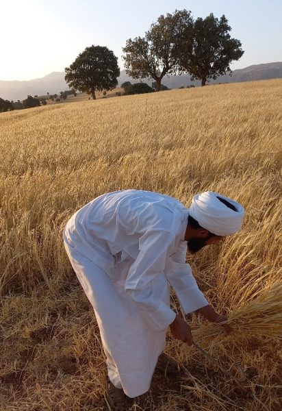 زندگی جهادی طلبه ۳۲ ساله همراه با خانواده در روستای محروم شُکرآباد