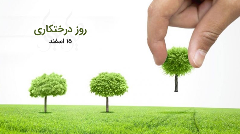 درخت، نبض هستی در رگ حیات