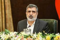 سخنگوی سازمان انرژی اتمی ایران به وین رفت