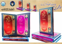 کتاب «سیرۃ الحسین (ع) فی الحدیث و التاریخ» به زبان اردو منتشر شد