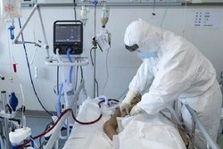 در شبانه روز گذشته ۱۸۷ بیمار کووید۱۹ جان خود را از دست دادند