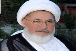 عالم شیعه پاکستانی نشست سران تکفیری را محکوم کرد