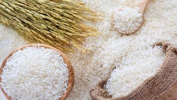 قیمت جهانی برنج هندی افزایش یافت