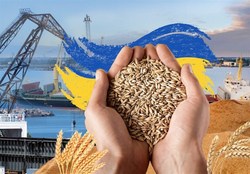 اجرای توافقات مربوط به صادرات غلات اوکراین برای همه طرفین الزامی است