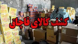 کشف محموله قاچاق ۲۵ میلیارد ریالی در تهران