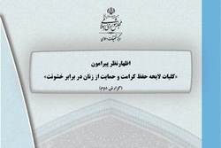 اظهار نظر پیرامون کلیات لایحه حفظ کرامت و حمایت از زنان در برابر خشونت
