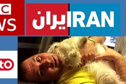 استقبال مخاطبان رسانه‌های معاند از اعدام الکس