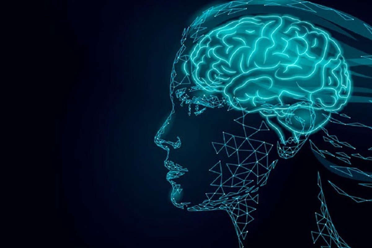 بانک مجازی مغز؛ انقلابی جدید در تحقیقات صرع و سرطان شناسی