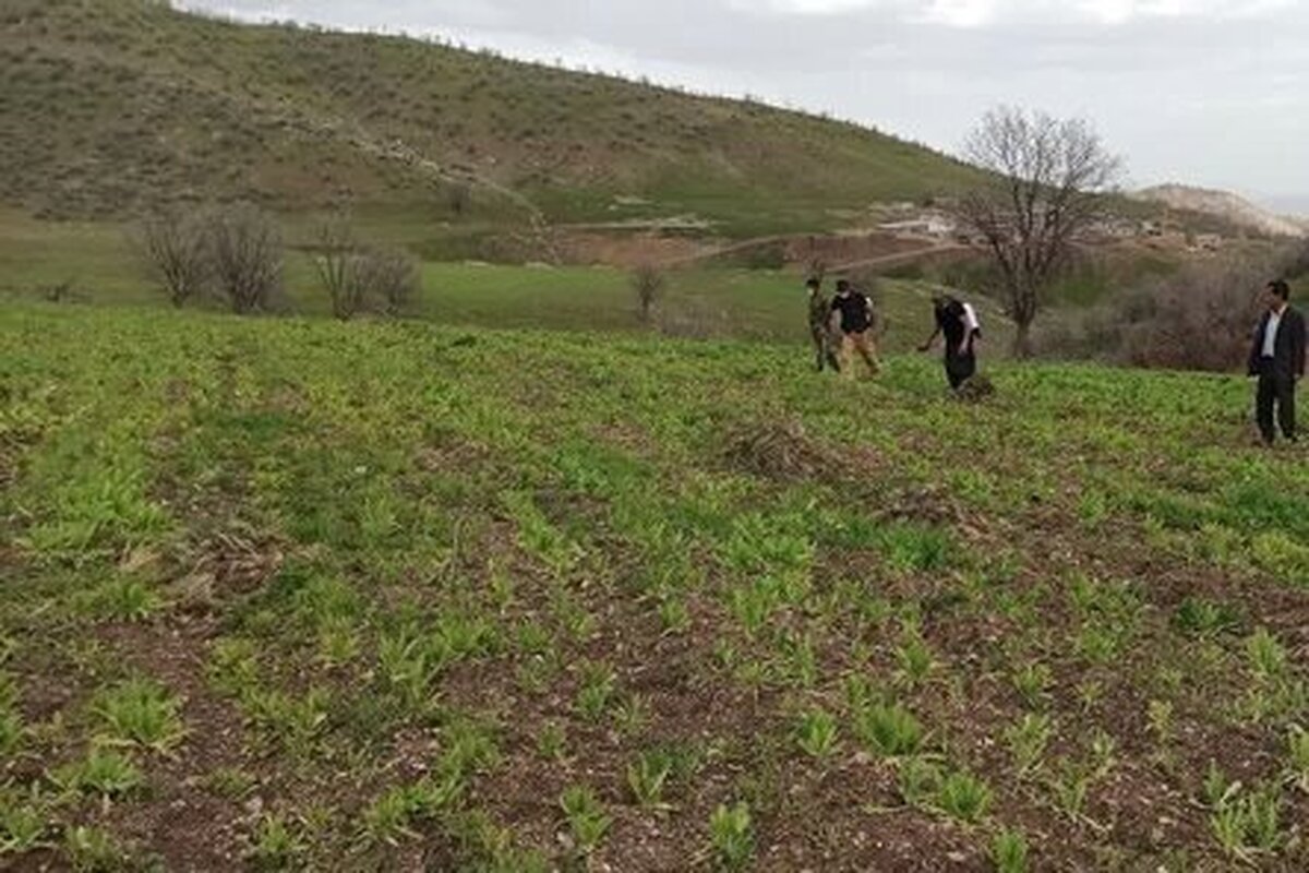 شناسایی اراضی کشاورزی غیر مجاز کهک با همکاری بسیج