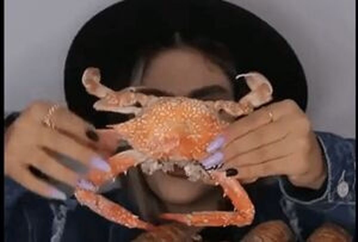 وقتی حرام‌خواری ترند می‌شود +عکس