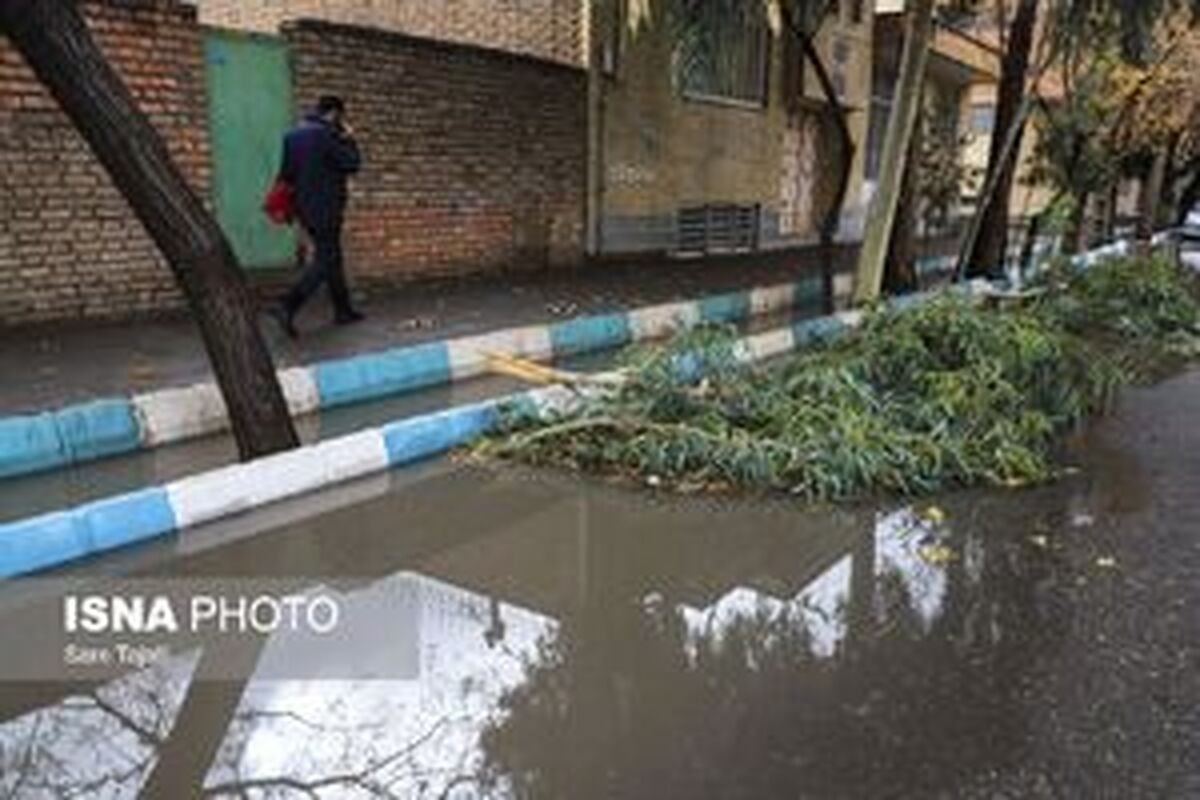 برداشت آب آشامیدنی از باران برای اولین بار در ایران