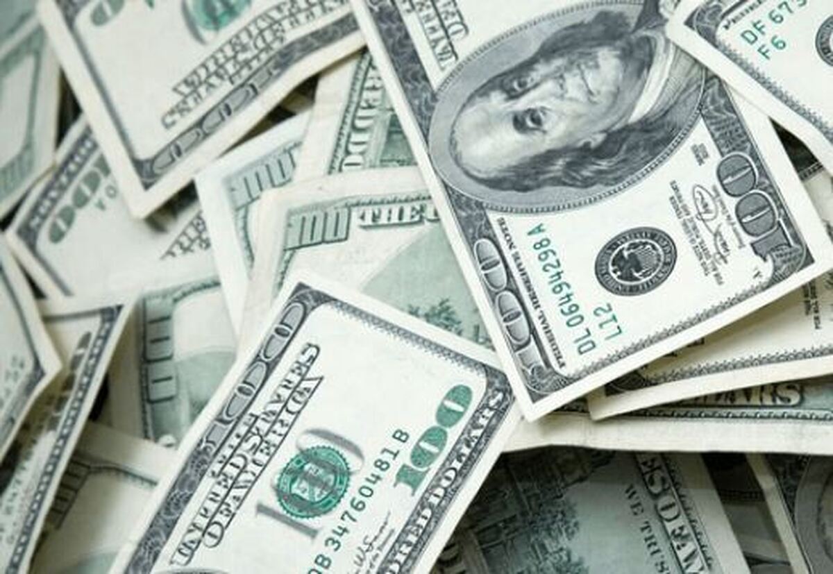 چرا اصلاحات ارزی زودتر اعلام نشد؟