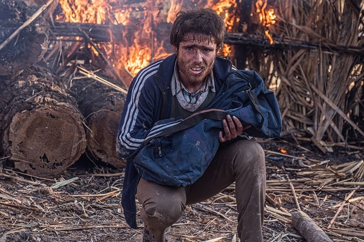 پل؛ زیبایی‌های بصری در گرداب چندپارگی روایی