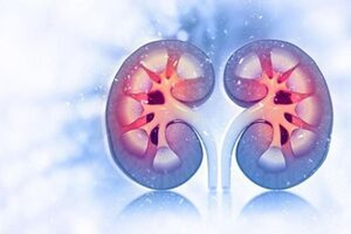 داروی دیابت روند پیری کلیه را کُند می‌کند