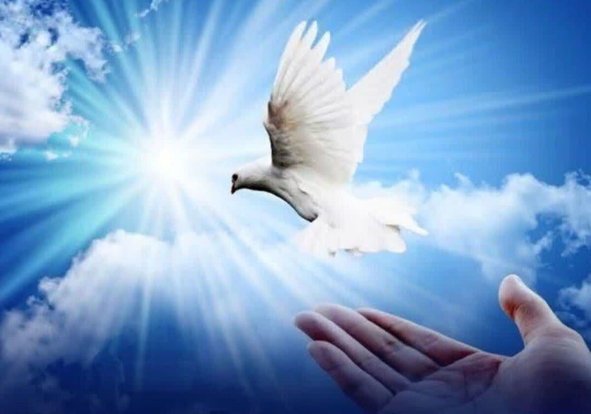 آزادی ۳ زندانی در کاشان با همراهی خانواده خیرخواه