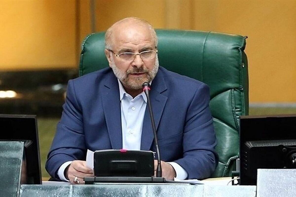 مجلس از تهمتزنندگان و تخریبکنندگان شکایت میکند
