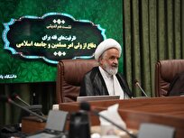 فقه محاربه وارد مرحله تمدنی شده است