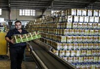 تخلف عجیب شرکتهای پخش برای توزیع روغن نباتی در بازار