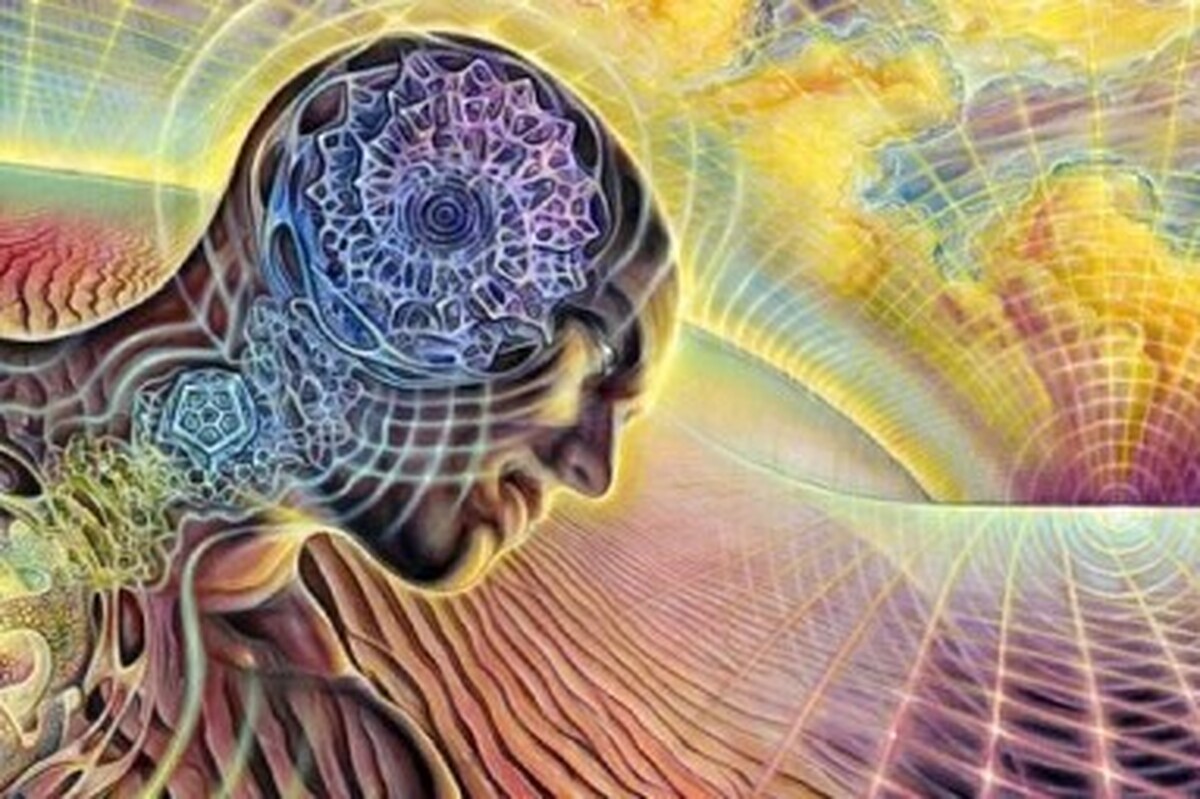 دین؛ حقیقتی فراتر از نظم اجتماعی