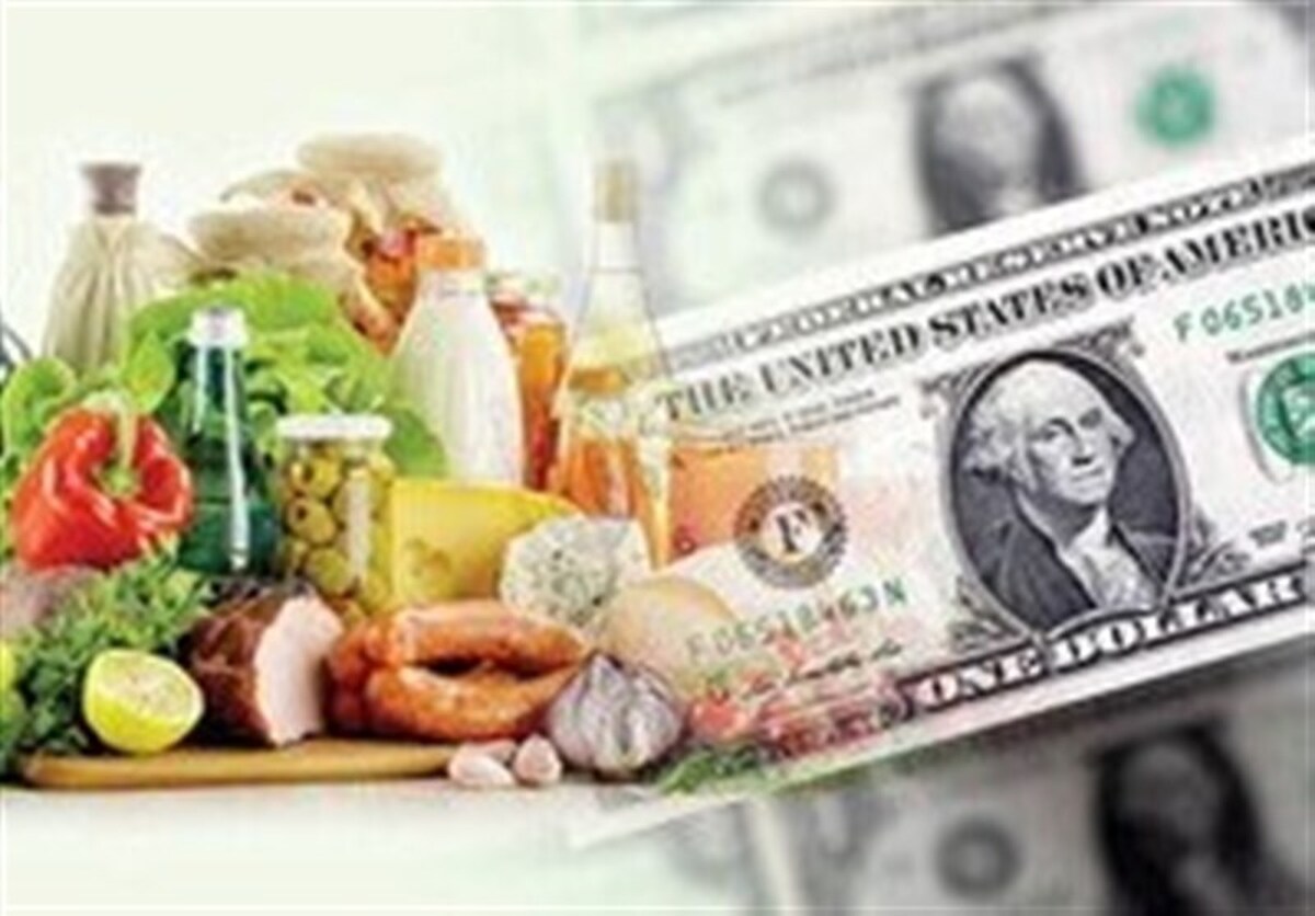 هشدار جدی سازمان برنامه درباره تبعات تورمی ارز تک نرخی|پیشنهاد خطرناک مشاور مدنی‌زاده متوقف شد