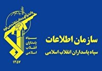 شبکه ضدامنیتی آمریکایی اسرائیلی متلاشی شد
