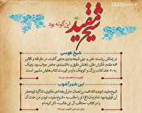 اطلاع نگاشت | شیخ مفید این گونه بود