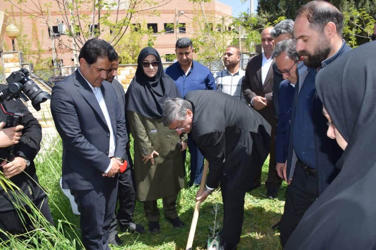 کاشت ۷ونیم میلیون نهال در لرستان