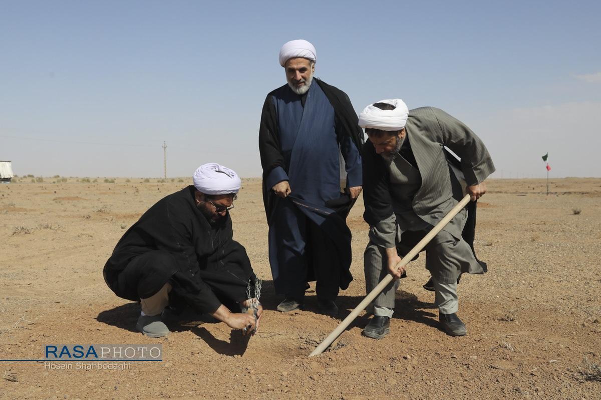 حرکت جهادی طلاب قم با کاشت ۶۵۰۰ نهال در منطقه ریزگردی