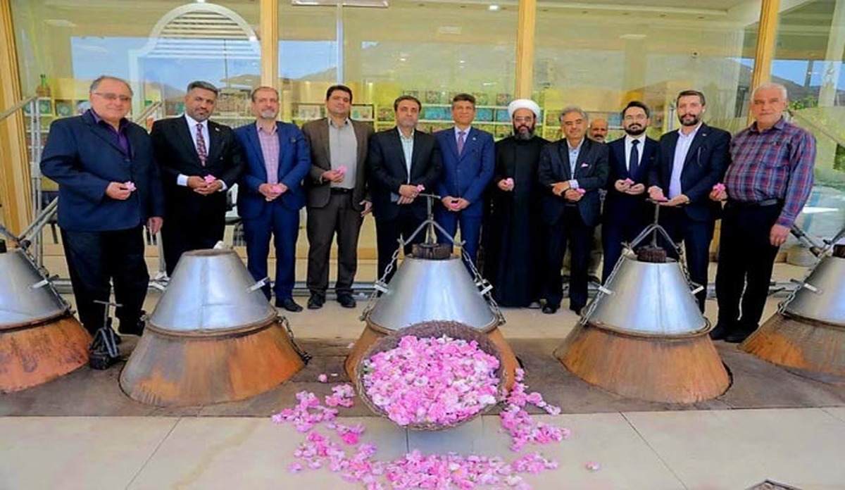 گلی به معطری گل محمدی قمصر کاشان ندیدم + عکس