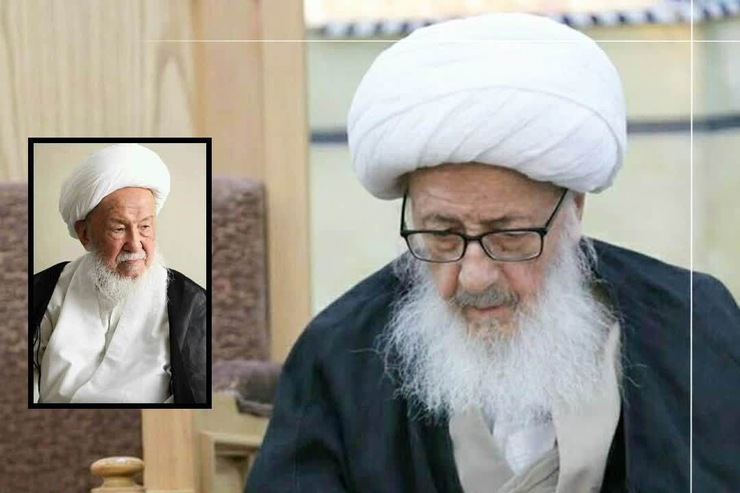 پیامهای تسلیت مراجع و علما در پی ارتحال آیتالله فیاض پیامهای تسلیت مراجع و علما در پی ارتحال آیتالله فیاض