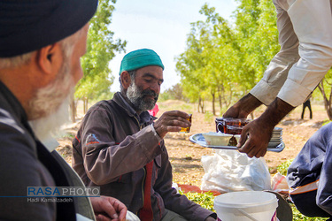 کمک جمعی از طلاب در برداشت محصول عناب به یکی روستاییان خراسان جنوبی