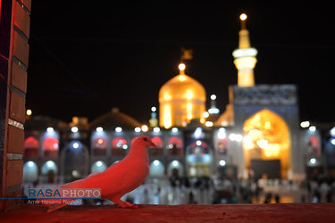 در حاشیه مراسم خطبه خوانی شب شهادت حضرت امام علی بن موسی الرضا (علیه السلام)