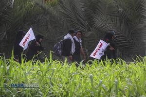 پیاده روی زائران اربعین حسین (ع) در طریق العلما